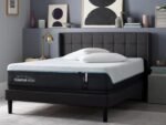 Tempur-Pedic TEMPUR-ProAdapt 12" Medium Mattress